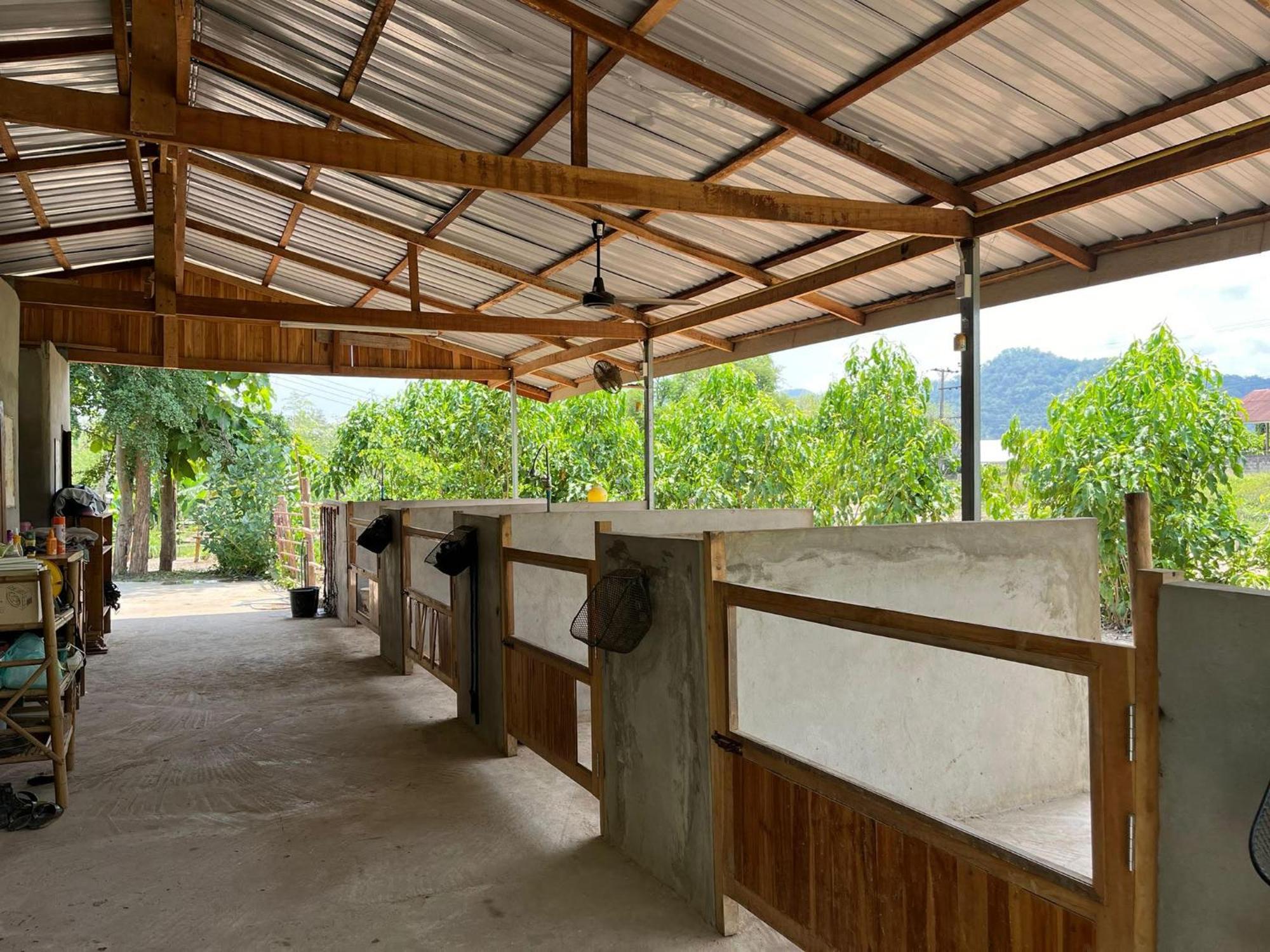 Namkhan Horses Stables Luang Prabang Exterior foto